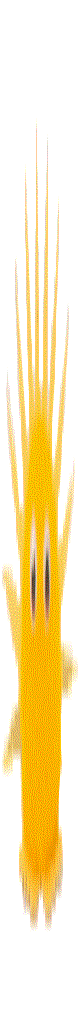 Mister Pointy Wuppy